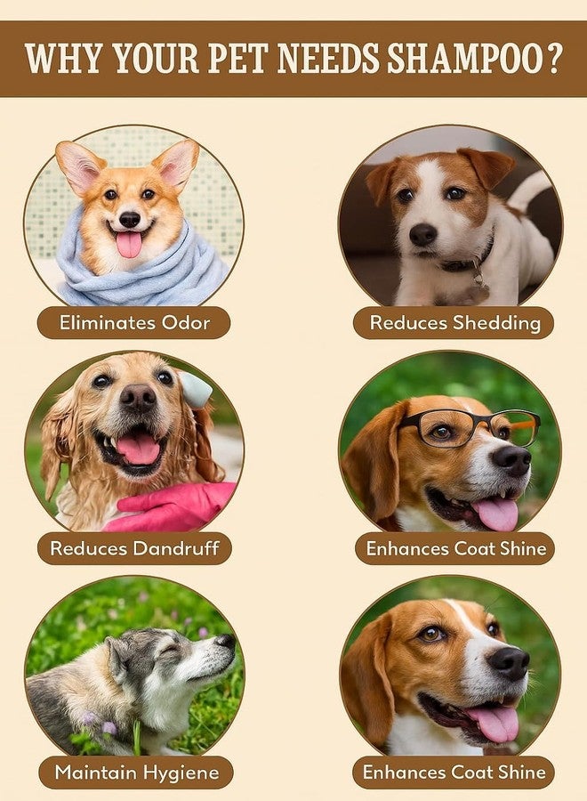 KittuPet شامبو كيتو بيت الطبيعي العضوي للحيوانات الأليفة، خالٍ من البارابين، يمنح فراءً لامعًا وناعمًا للجراء والكلاب، برائحة التوت وجوز الهند، 500 مل (16 أونصة). - Image 4